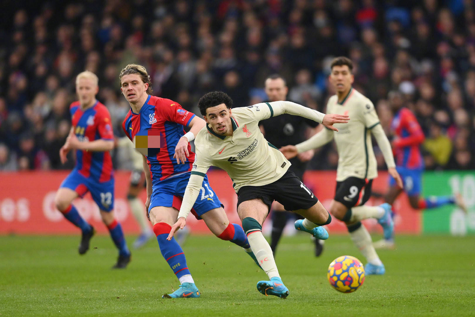 的转会事宜 的转会事宜